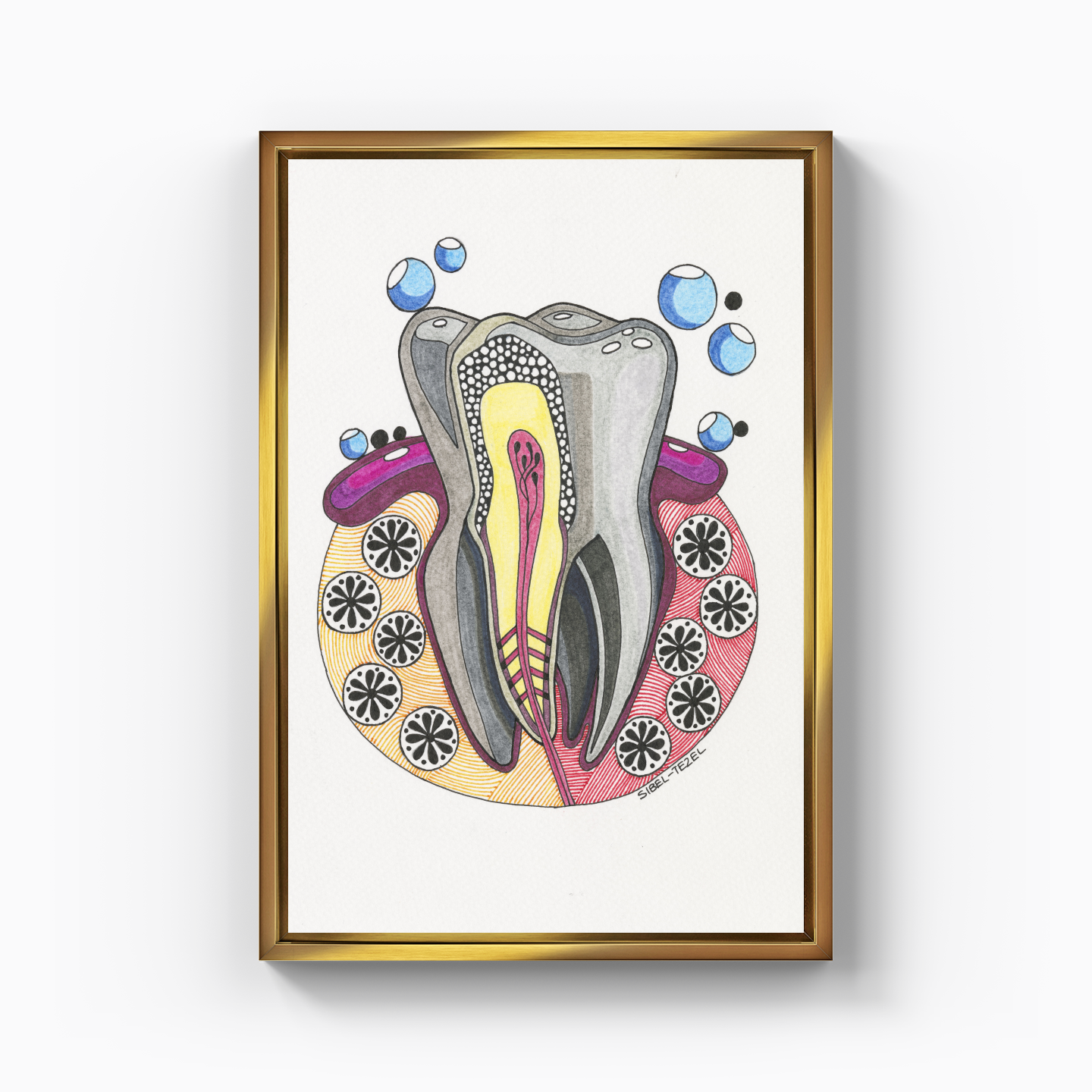 tooth anatomy - Kanvas Tablo