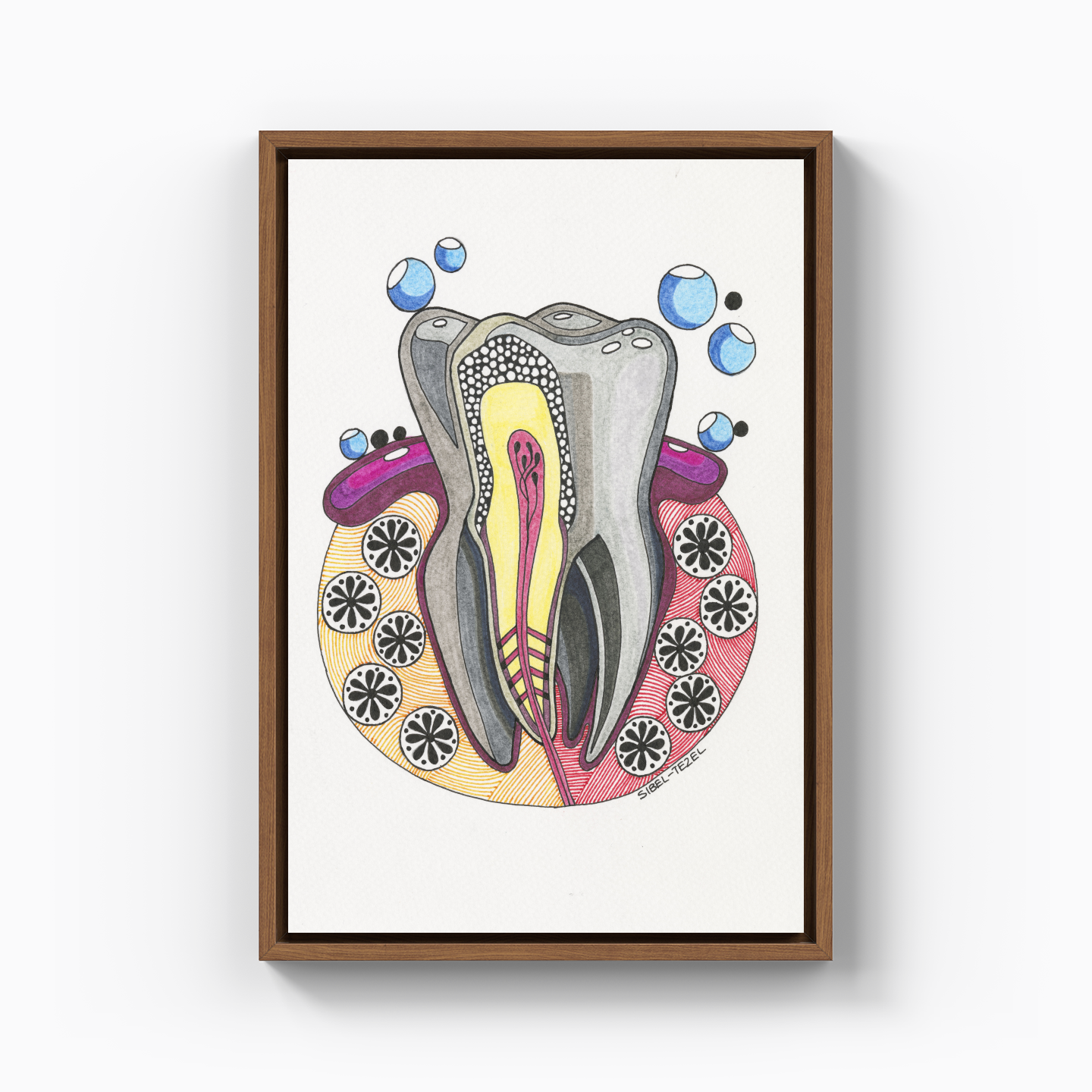 tooth anatomy - Kanvas Tablo