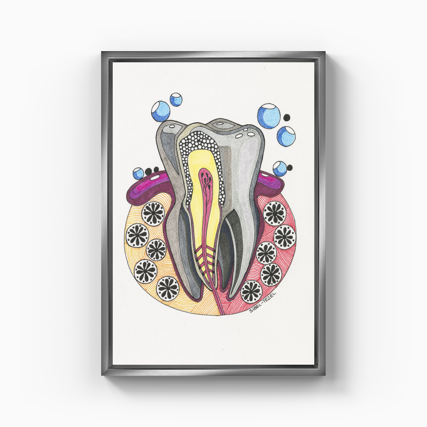 tooth anatomy - Kanvas Tablo