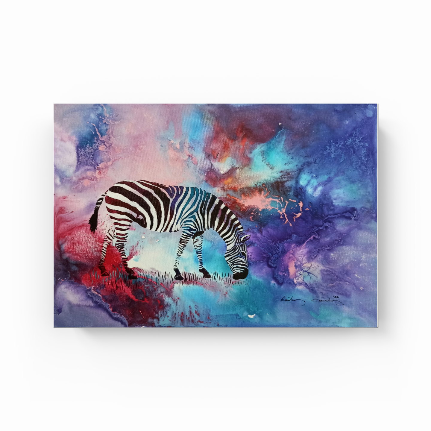 Zebra - 1 - Canvas Painting